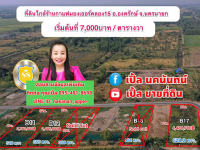 ขายที่ดิน คลอง 15 องครักษ์ นครนายก ที่ดินธรรมชาติ ที่ใกล้แหล่งความเจริญ ที่ดินสวย อากาศสดชื่น ติดถนนลาดยาง