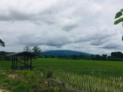 ที่ดินแปลงสวย วิวดอยสุเทพ ใกล้ธรรมชาติ น้ำแพร่ หางดง 