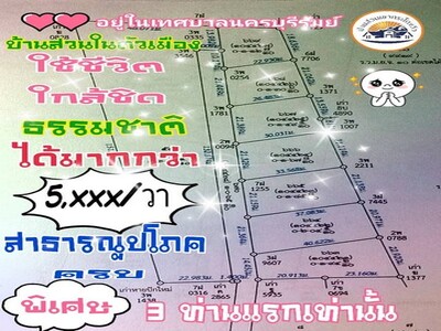 ขายที่ดินแบ่งขาย ใกล้เขากระโดง อำเภอเมือง จังหวัดบุรีรัมย์