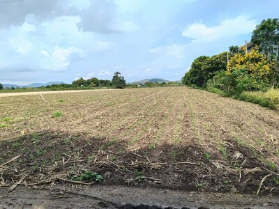 ขายที่ดิน อำเภอปากช่อง จ.นครราชสีมา 