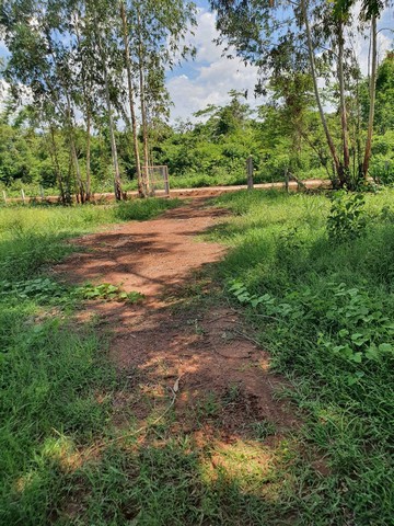 ขายด่วนที่ดิน เหมาะสำหรับทำบ้านสวน ตำบลเชียงเครือ อำเภอเมืองสกลนคร จังหวัดสกลนคร