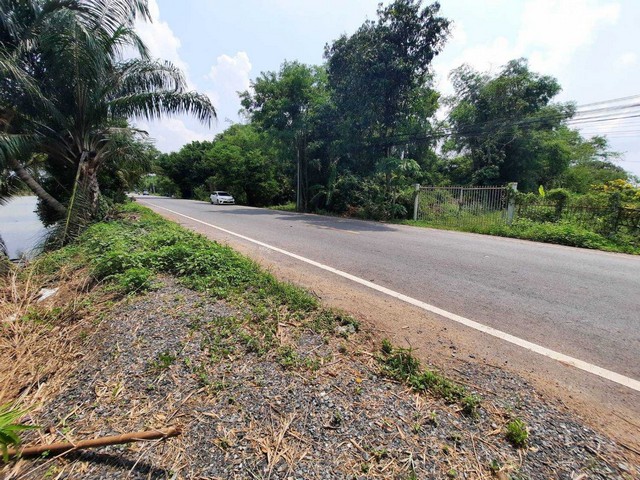 ที่ดินคลองเจ็ดหนองเสือ  7 ไร่  ห่างจากถนนรังสิต-นครนายก 3.8  กม. 