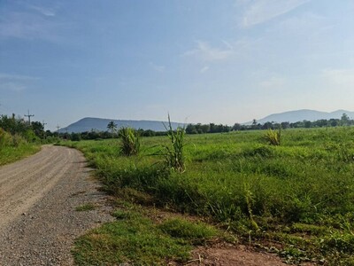 ที่ดินปากช่องน่าลงทุนแบ่งขาย  2-8ไร่โฉนด ต.วังไทร ไร่ละ 2.9 ลบ ที่ดินปากช่องน่าลงทุนแบ่งขาย  2-8ไร่โฉนด ต.วังไทร ไร่ละ 2.9 ลบ