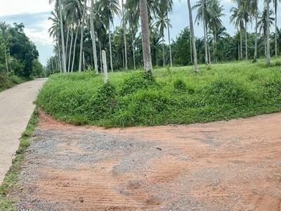 โปรปังทรัพย์ดีปลายปี68  ที่ดินติดถนนหลวง ใกล้หาดบางเบิด  ไร่ล่ะ 8 โปรปังทรัพย์ดีปลายปี68  ที่ดินติดถนนหลวง ใกล้หาดบางเบิด  ไร่ล่ะ 8