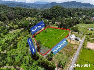 ขายที่สวย อ้อมกอดขุนเขา เขียวขจีรอบทิศ ต.สีนาวา อ.เมืองนครนายก