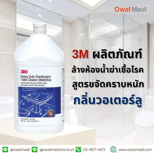 ผลิตภัณฑ์น้ำยาล้างห้องน้ำ 3M กลิ่นวอเตอร์ลู 