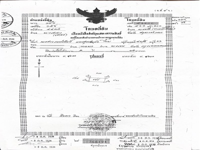 ขายที่ดินเปล่า 3 เเปลง ทำเลบางเสาธง – บางพลี จังหวัดสมุทรปราการ