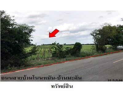 ขายที่ดินว่างเปล่า ต.ท่าช้าง อ.เฉลิมพระเกียรติ จ.นครราชสีมา