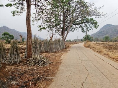 สู่ยุคหาทรัพย์ดีเอื้อเศรฐกิจ  ขาย/เช่า ที่ติดภูเขาเมืองนครสวรรค์ 