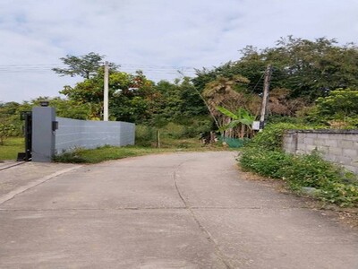 ขายที่ดินอ.แม่อาย จ.เชียงใหม่   