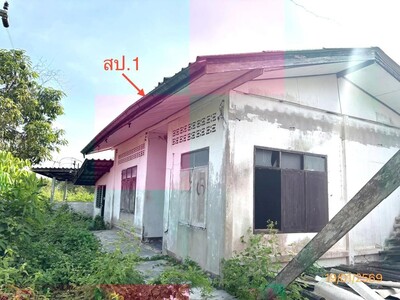 ขาย บ้านเดี่ยว สุราษฎร์ธานี  อำเภอ กาญจนดิษฐ์ จังหวัด สุราษฎร์ธาน