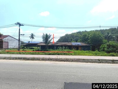 ขาย  บ้านเดี่ยว สุราษฎร์ธานี อำเภอ พนม จังหวัด สุราษฎร์ธานี