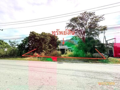 ขาย  บ้านเดี่ยว สุราษฎร์ธานี อำเภอ กาญจนดิษฐ์ จังหวัด สุราษฎร์ธาน