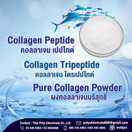 คอลลาเจน, คอลลาเจนผง, คอลลาเจนเปปไทด์, Collagen, Collagen Powder, Collagen Peptide