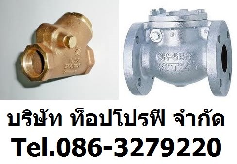 ขาย Small Check Valve Screw End Type เช็ควาล์ว PC12 PC22 PA12 PA22 แพนเช็ควาล์ว086 3279220