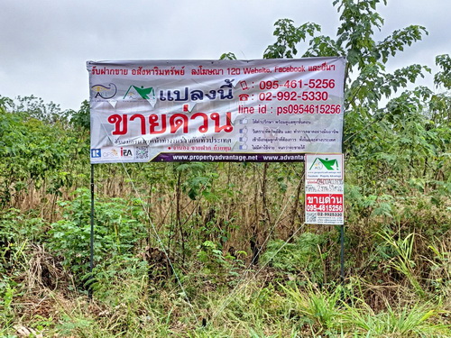 ขายที่ดินเปล่ารวม  2  งาน  59.0  ตรว. ( 2 แปลง ) ทำเลดี เป็นที่ดินจัดสรร ต.ปากช่อง อ.ปากช่อง จ.นครราชสีมา 