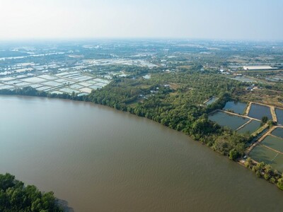 ขายที่ติดแม่น้ำ 1 ไร่เศษ(ขายถูกที่สุด) ต.สนามจันทร์ อ.บ้านโพธิ์  