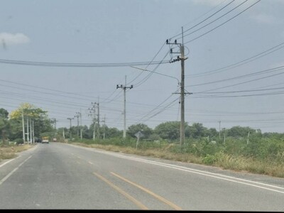 ขายที่สีม่วง 4,5,6 ไร่ ต.บางนาง ต.บ้านเก่า ต.พานทอง  จ.ชลบุรี