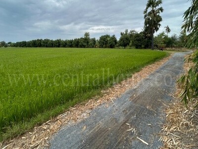 ลดด่วน ที่ดิน 9-3-99.5 ไร่ ดอนโพธิ์ - สุพรรณบุรี มีผู้เช่า ทำเลดี