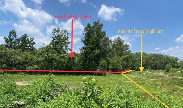 ขายที่ดินว่างเปล่า  อำเภอนาทวี  สงขลา (PKK01-10226)