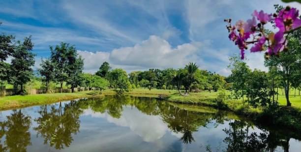 บ้านพักตากอากาศสวยสุดๆ 20 ไร่ ที่ดินแปลงสวยพร้อมบ้านพักตากอากาศ #แม่แตง อยู่บนเนินเขา วิวสวย มุมมองพาโนรามา โอบล้อมด้วยเทือกดอยสุเทพ-ป่าแป๋