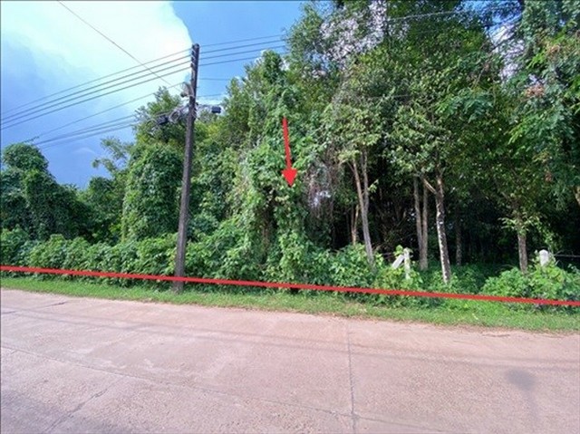 ขายที่ดินว่างเปล่า   อำเภอเมืองบึงกาฬ  บึงกาฬ (PKK01-11886)