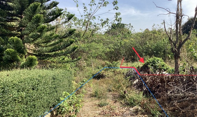 ขายที่ดินว่างเปล่า   หมู่บ้านภูริพิมาน นครราชสีมา (PKK01-11826)
