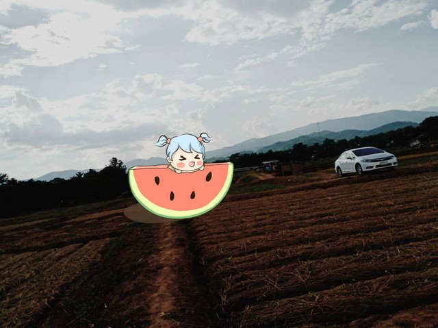 สำหรับชาวนักลงทุนและผู้หาซื้อทรัพย์ดีดี   อ.ท่าวังผา  จ.น่าน  น้ำใสไหลรินตลอดปี  ตำบลศรีภูมิ อ.ท่าวังผา จ.น่าน 800000 บาท สวยมากวิวน้ำน่านฟ้าใสอากาศดี