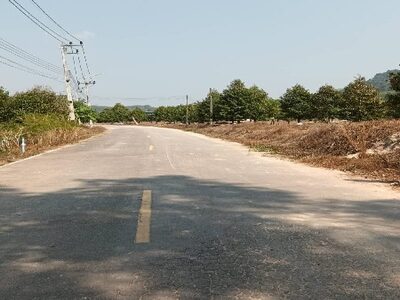 ขายที่ดินระยอง พร้อมสวนยาง สร้างรายได้