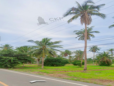 ที่ดินสวย 8 ไร่ 83 ตร.วา (แบ่งขาย) เหมาะสำหรับทำโรงแรม,รีสอร์ท