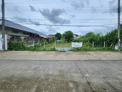 ขายด่วน : ที่ดินแปลงสวย ติดถนน ทำเลดี