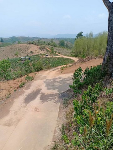 พื้นที่ดิน ที่ดิน ต.ปอน อ.ทุ่งช้าง จ.น่าน ขนาดพื้นที่ 163303 ตรว. 73400000 บ.   ลดกระจาย ที่ดินผืนใหญ่ มีต้นไม้นานาชนิด ร่มรื่้น สามารถนำพัฒนาเป็นรีสอร์ต, บ้านพักตากอากาศ และบ้านสวน รวมถึงลานแคมป์ปิ้ง ฯลฯ.