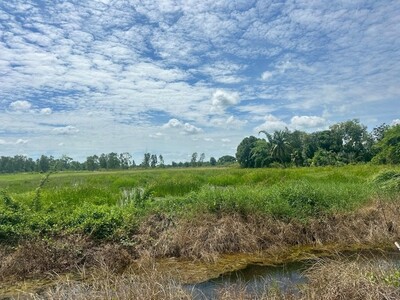 ขายที่ดิน   5 ไร่  บึงศาล  องครักษ์  นครนายก 