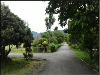 ขายที่ดิน115ไร่ 55ล. ผ่อนได้ บ้านยุโรป รีสอร์ท ทากาศ แม่ทา ลำพูน