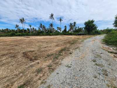 ขายที่ดิน เขต EEC ชลบุรี 4 ไร่ 3 งาน 63 ตรว. อ.บางละมุง จ.ชลบุรี 