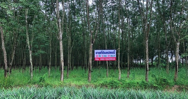 ขายที่ดินตั้งอยู่ อ่างเก็บน้ำดอกกราย ซอย 6 ต.พนานิคม อ.นิคมพัฒนา จังหวัดระยอง 
