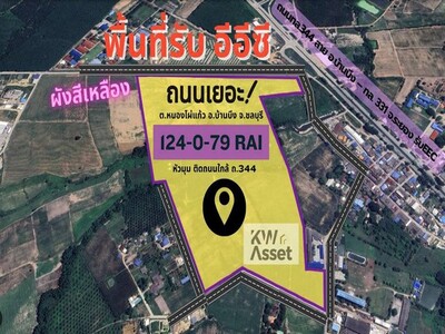 ขายที่ดินสุดปัง 124-0-79 ไร่ อ.บ้านบึง จ.ชลบุรีผังสีเหลือง ขายที่ดินสุดปัง 124-0-79 ไร่ อ.บ้านบึง จ.ชลบุรีผังสีเหลือง