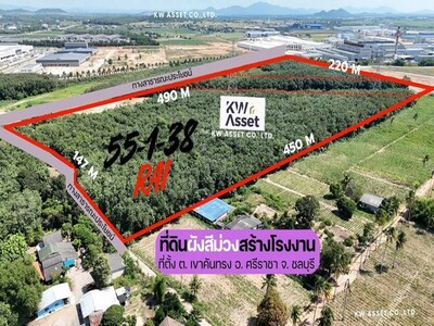 ขายที่ดินสร้างโรงงาน 55-1-38 ไร่ ผังสีม่วงลาย ศรีราชา จ.ชลบุรี ขายที่ดินสร้างโรงงาน 55-1-38 ไร่ ผังสีม่วงลาย ศรีราชา จ.ชลบุรี