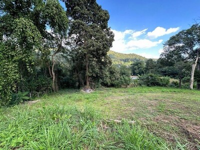 ที่ดินติดถนนหางดง สะเมิง เป็นเนิน วิวภูเขา หางดง    