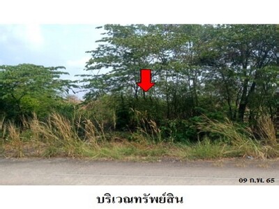 ขายที่ดินว่างเปล่า โครงการ บางไทรเวลเนสโฮม  พระนครศรีอยุธยา