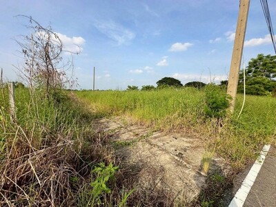 ขายที่ดินเปล่า   ถนนเลียบคลอง 8   อำเภอหนองเสือ จังหวัดปทุมธานี  