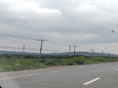 ขายที่สีม่วง 4,5,6 ไร่ ต.บางนาง ต.บ้านเก่า ต.พานทอง  จ.ชลบุรี