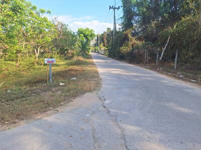 ขายที่ดิน 400 ตรว. ใกล้ เทศบาลวิหารแดง อ.วิหารแดง จ.สระบุรี