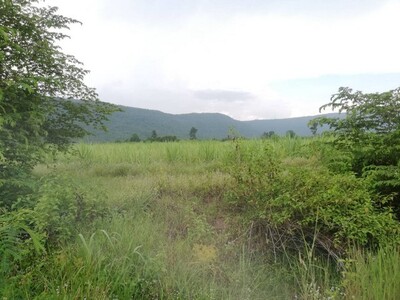 สู่ยุคหาทรัพย์ดีเอื้อเศรฐกิจ  ที่สวยติดเขา เทือกเขายา ขอนแก่น