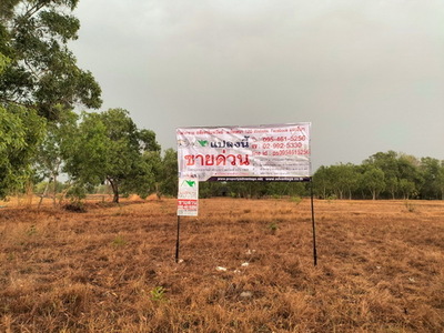 ขายที่ดินรวม  4-0-53.9 ไร่   อ.เหล่าเสือโก้ก จ.อุบลราชธานี