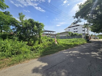 ขายถูก ที่ดินเปล่า คลองหลวง ปทุมธานี 208.4 ตร.ว แปลงสวย 