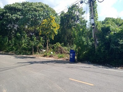 ขายที่ดิน อำเภอย่านตาขาว จังหวัดตรัง ถนนตรัง-ฉลุง