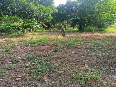 ขายที่ดินสุรศักดิ์ ศรีราชา 200 ตร.วา ใกล้แหล่งชุมชน ติดถนน