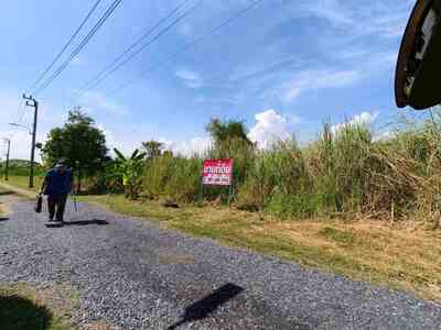 ขายที่ดินเเปลงสวย ลำลูกกาคลอง 12 ทำเลดี ใกล้ถนนหลัก พร้อมปลูกสร้า