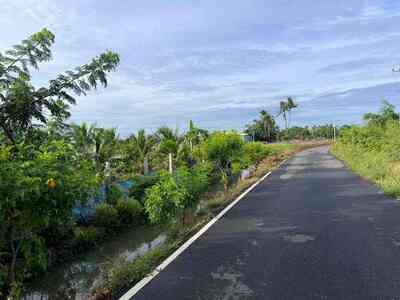 ขายด่วน ที่ดินสวยริมแม่น้ำท่าจีน  อ.หันคา จ.ชัยนาท